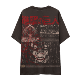Camiseta SNK-camiseta-oversize, ataque de titanes, shingeki no kyojin
